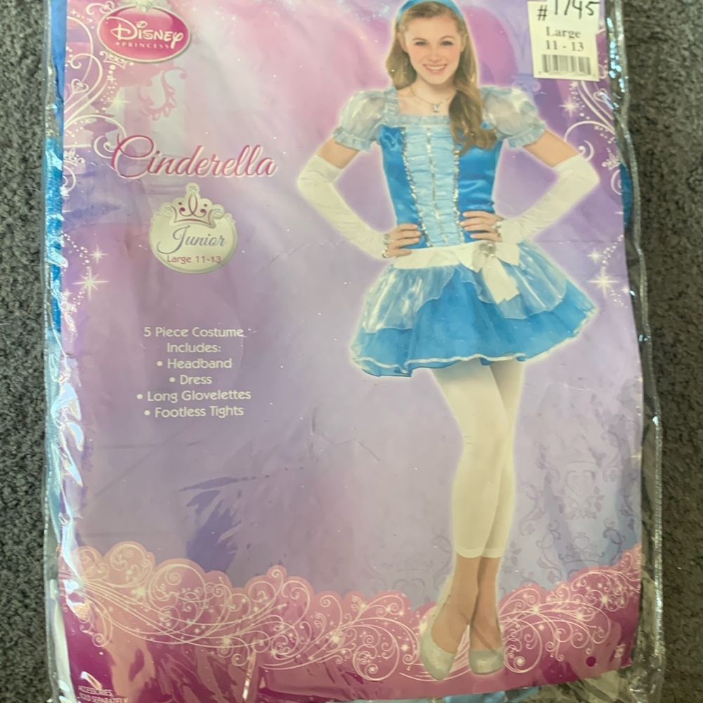 NWT Junior’s 5 pc. Cinderella Costume